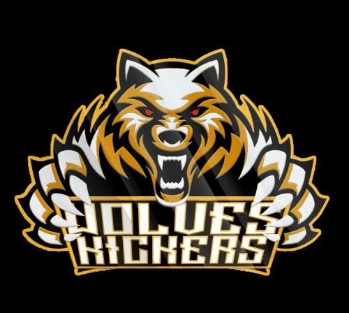 Team crest
