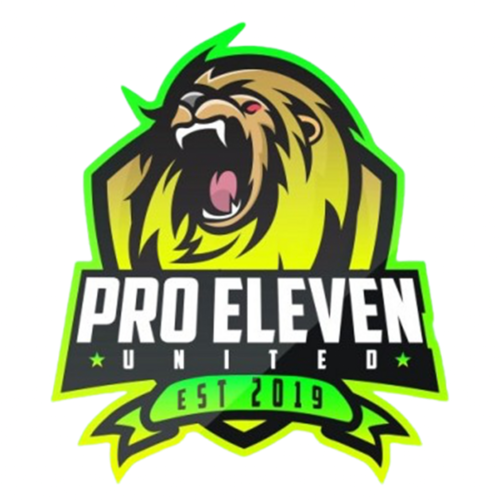 Team crest